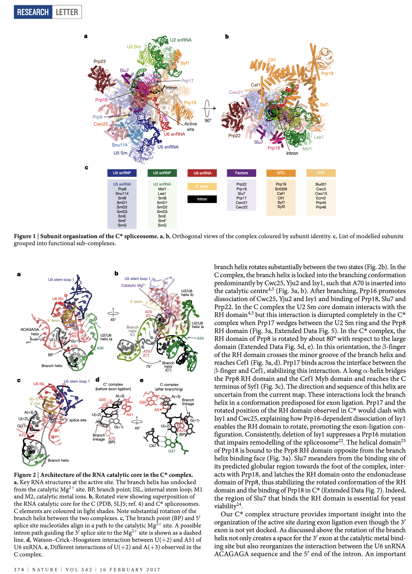 ycstar paper